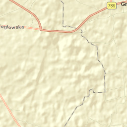 Gniazdów Street Map