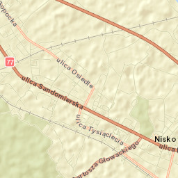 Nisko Street Map