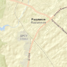 Razumnoye Street Map