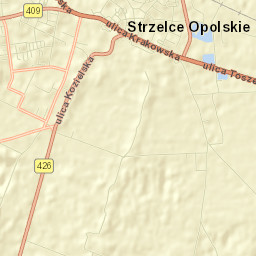Strzelce Opolskie Street Map