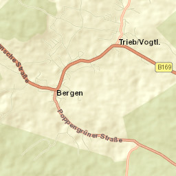Bergen Street Map
