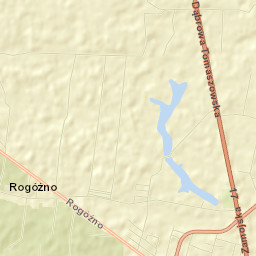 Rogóźno Street Map