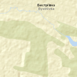 Bistriyivka Street Map