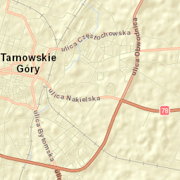 Tarnowskie Góry Street Map