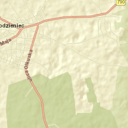 Ogrodzieniec Street Map
