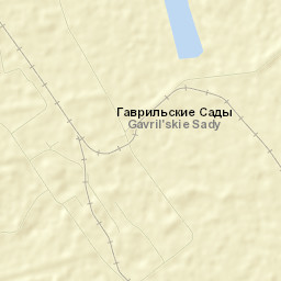 Pavlovskiy Rayon Street Map