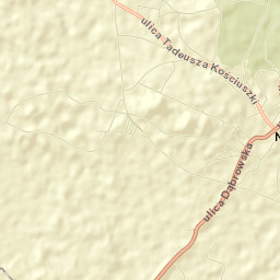 Niegowonice Street Map