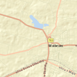 Wolbrom Street Map