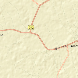 Borowa Street Map