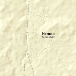 Naushki Street Map