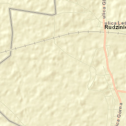 Rudziniec Street Map