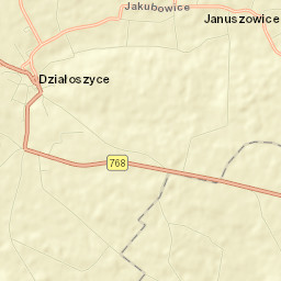 Działoszyce Street Map