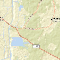 Baryshivs’kyy Rayon Street Map