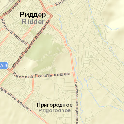 Ridder Street Map