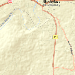 Głuchołazy Street Map