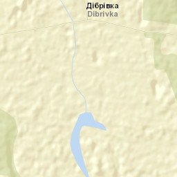 Dubrivka Street Map
