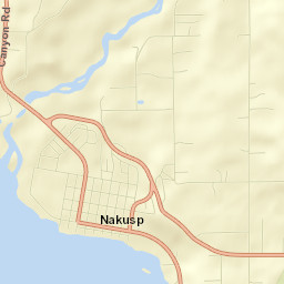 Nakusp Street Map
