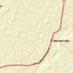 Pawłowiczki Street Map