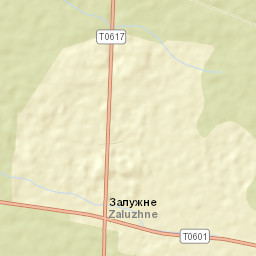 Zaluzhne Street Map