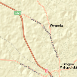 Głogów Małopolski Street Map