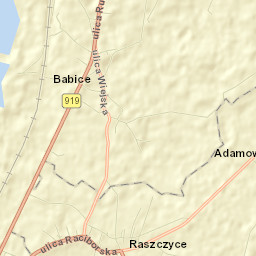 Raszczyce Street Map