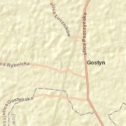 Gostyń Street Map