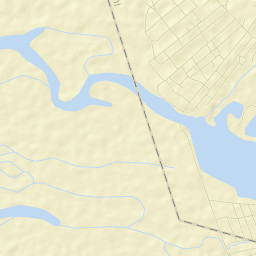 Tokarevka Street Map