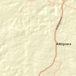 Albigowa Street Map