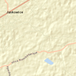 Jankowice Street Map