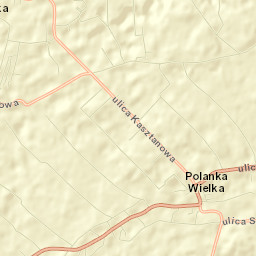 Polanka Wielka Street Map
