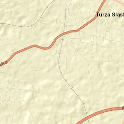 Turza Śląska Street Map