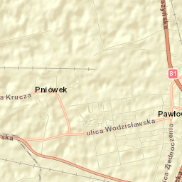 Pawłowice Street Map