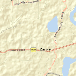 Przecieszyn Street Map