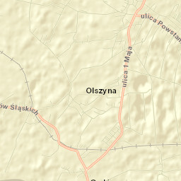 Godów Street Map