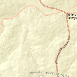 Wielopole Skrzyńskie Street Map