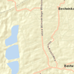 Bestwina Street Map