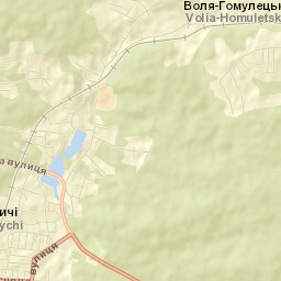Bryukhovychi Street Map