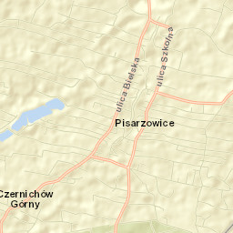 Pisarzowice Street Map