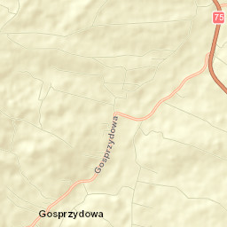 Gnojnik Street Map