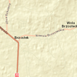 Brzostek Street Map