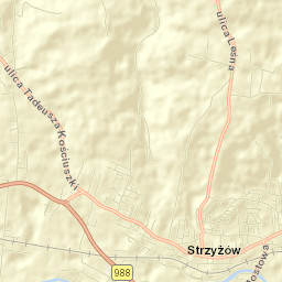 Strzyżów Street Map