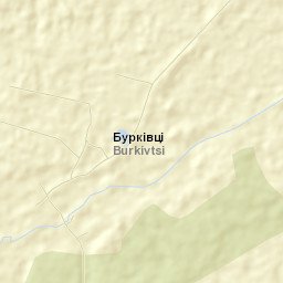 Burkivtsi Street Map