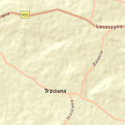 Trzciana Street Map