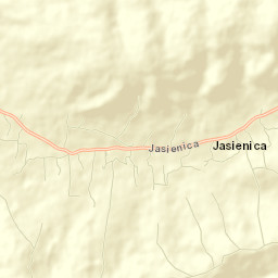 Jasienica Street Map