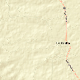 Brzyska Street Map