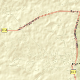 Dynów Street Map
