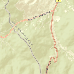 Targanice Street Map