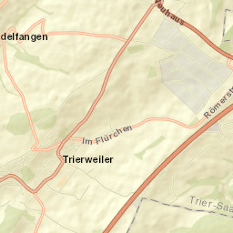 Trierweiler Street Map