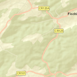 Fischbach Street Map