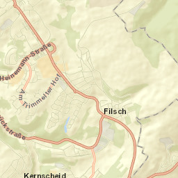 Irsch Street Map